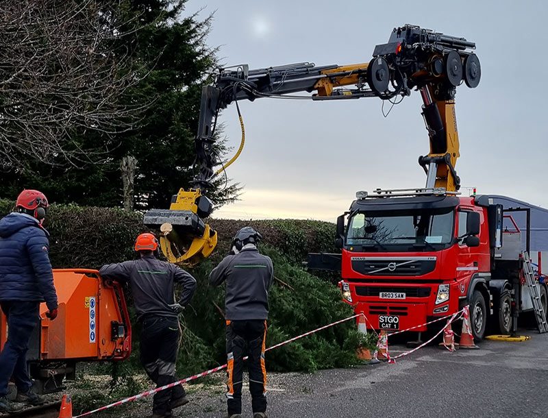 Tree Felling