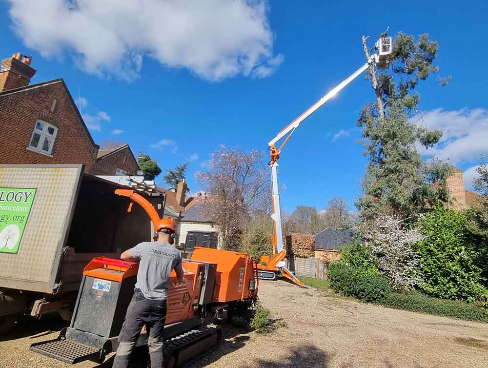 Hedge works
