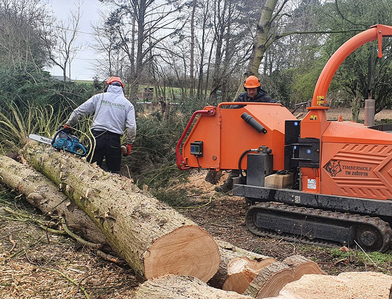 Tree Felling