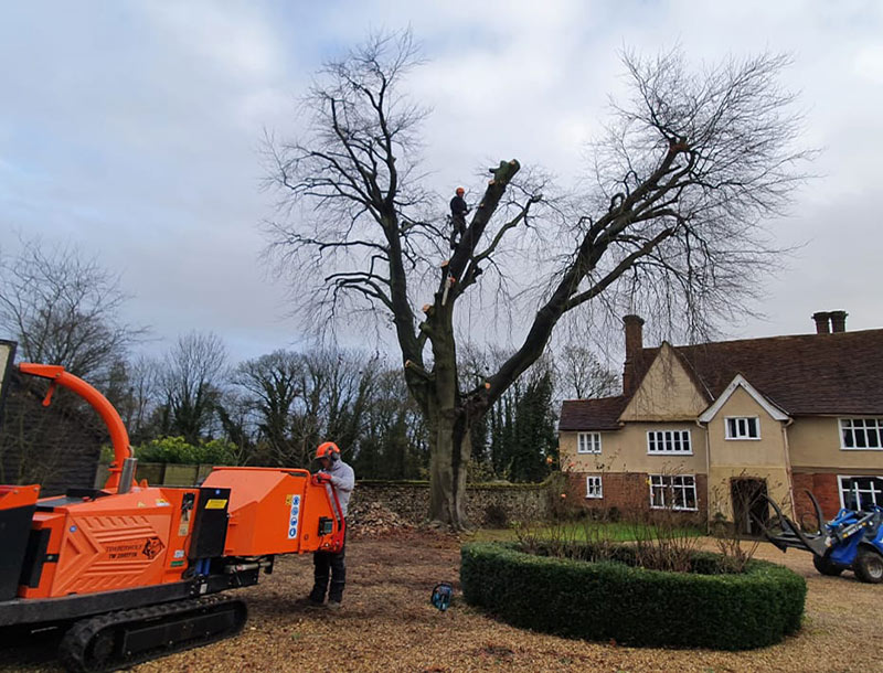 Site clearance