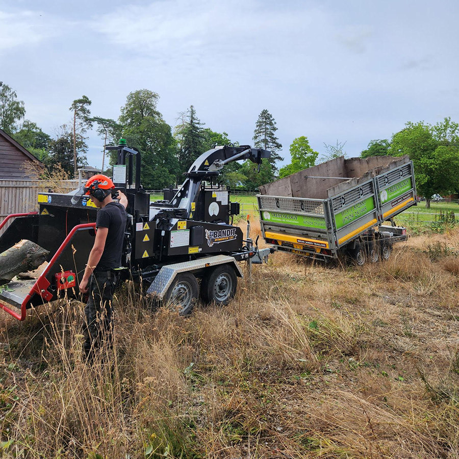 Site clearance