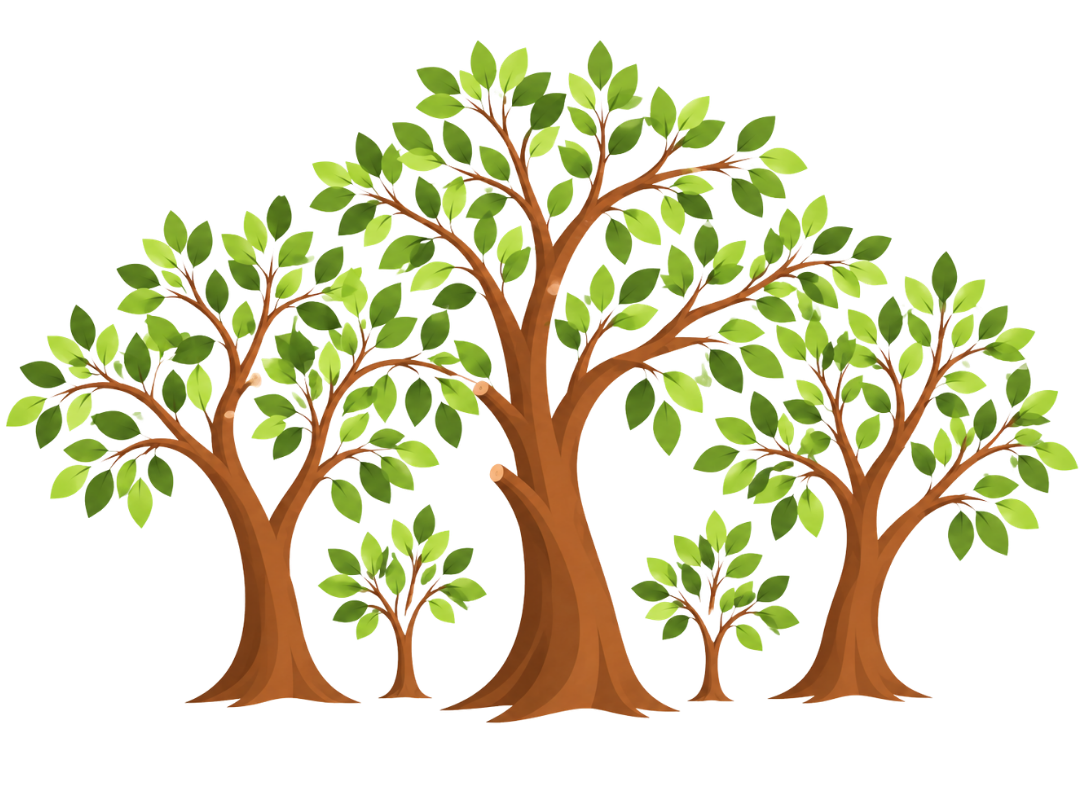 treecology-illustrations (1)
