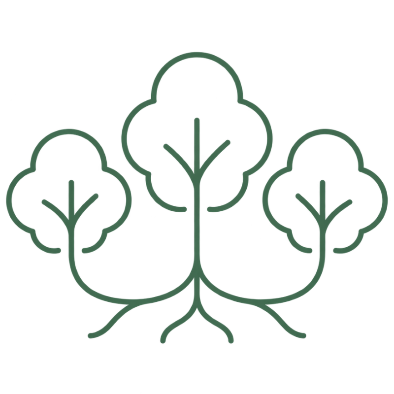 treecology-illustrations (4)