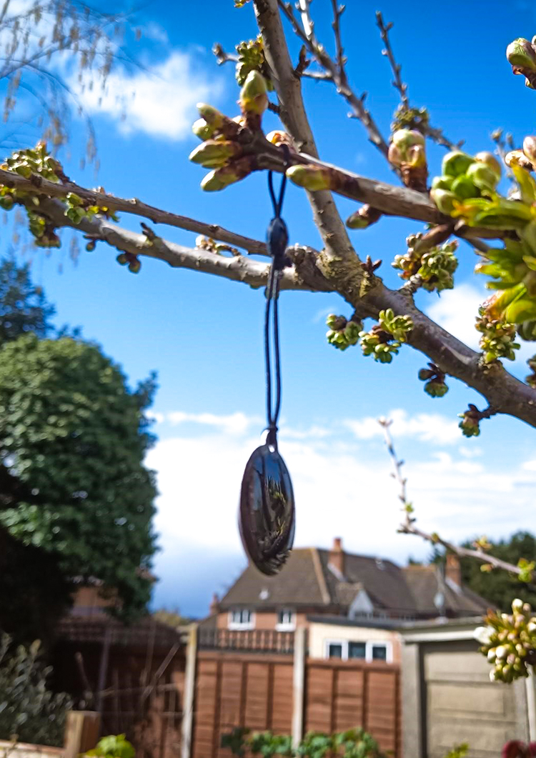 EnviroArb Solutions NFC Tree Tagging